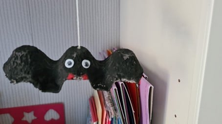 Chauve souris Ilyan Sophia